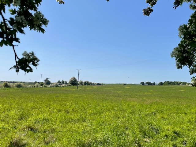 down farm