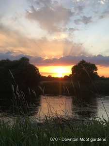 070 - Downton Moot gardens